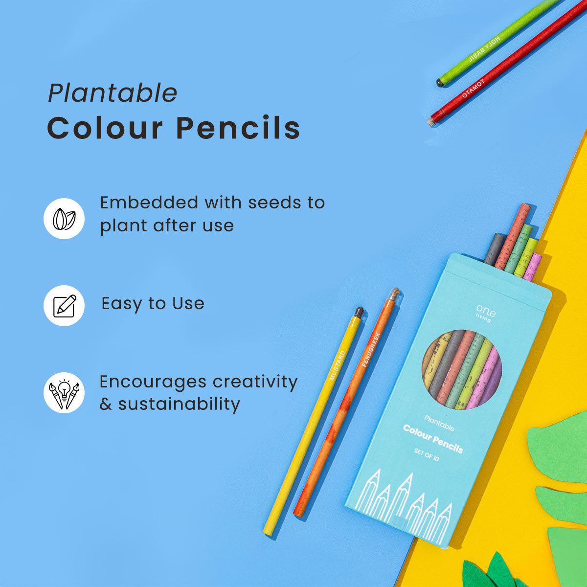 Childrens Create & Sow Kit | Plantable Stationery Set