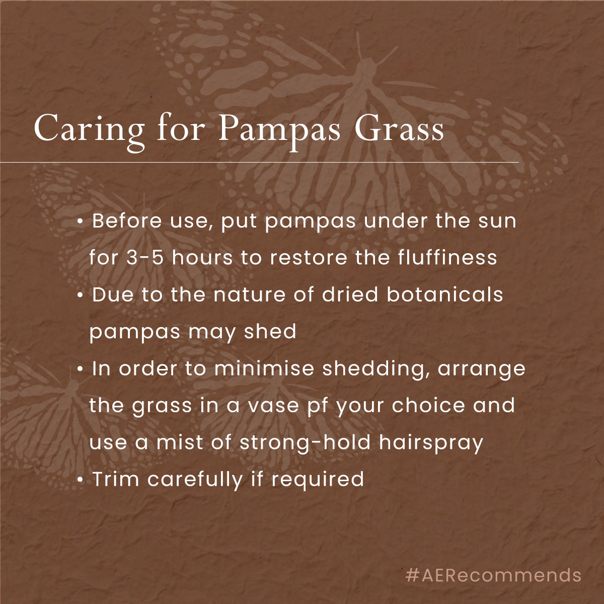 Preserved Pampas Grass| 5 Stems