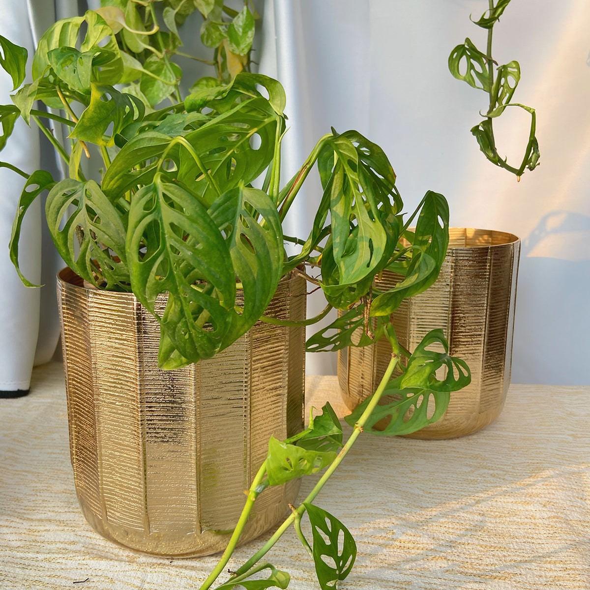 Metal Planter Pot | Textured | Gold | 8 inches