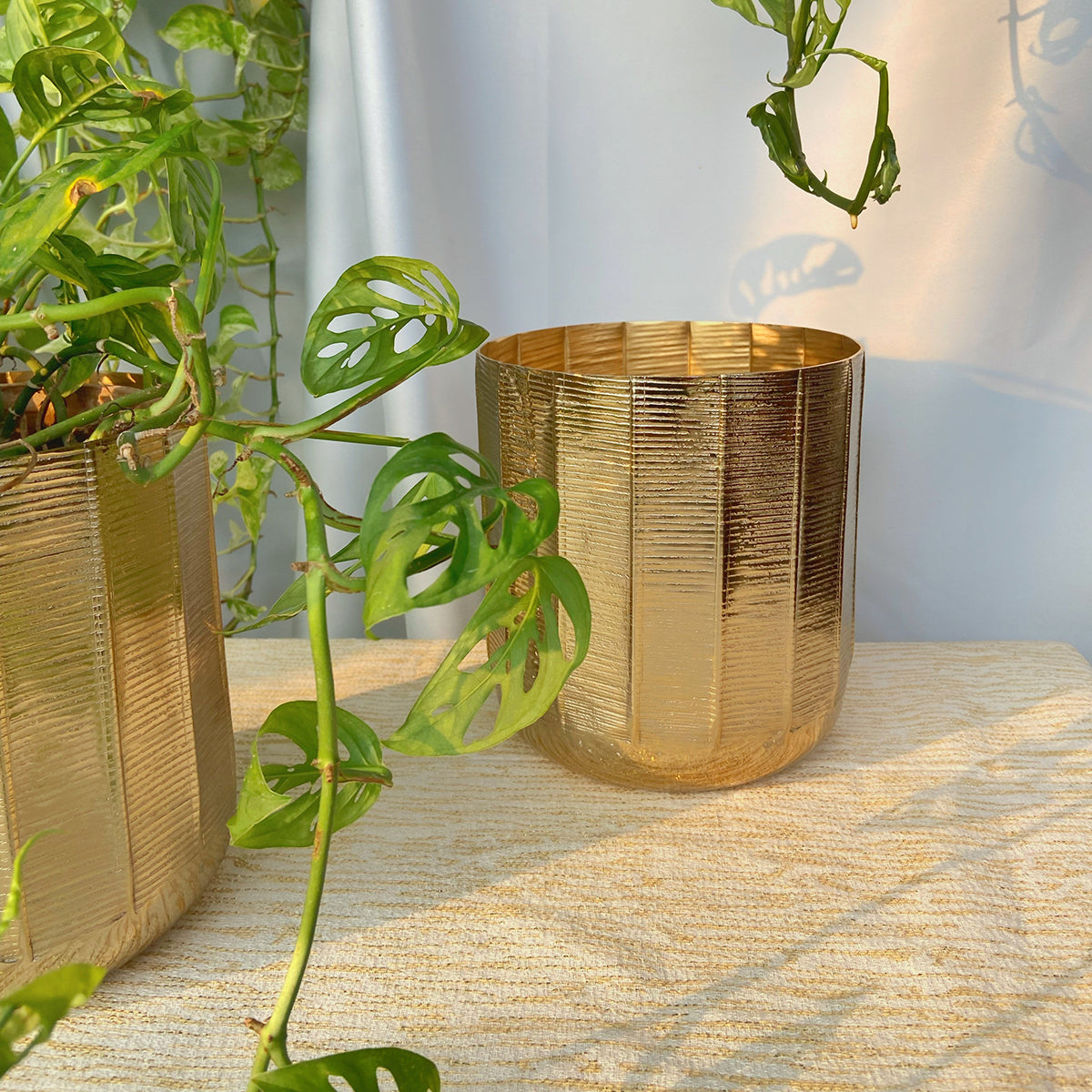 Metal Planter Pot | Textured | Gold | 8 inches