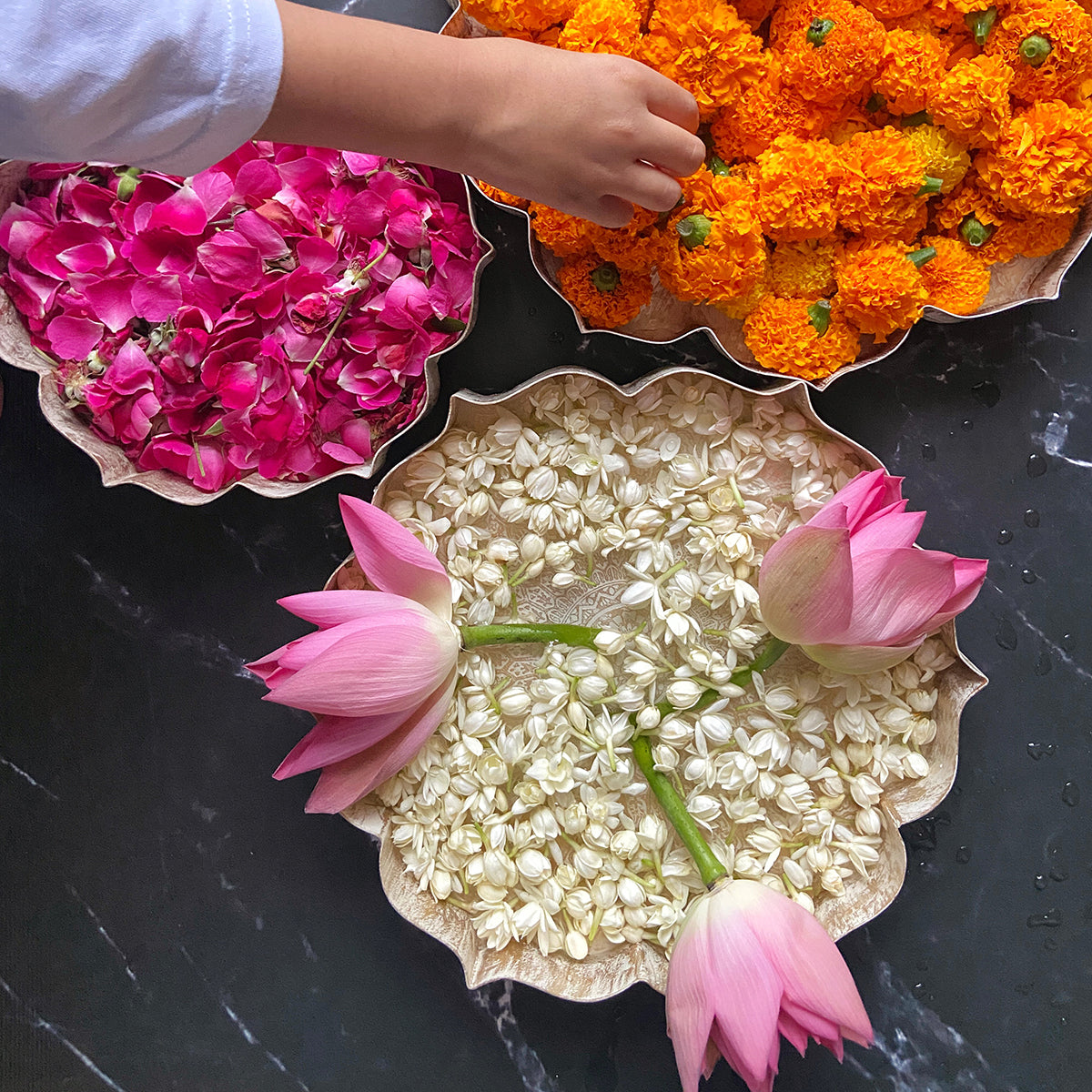 Iron Lotus Urli | Ivory & Gold | Set of 3