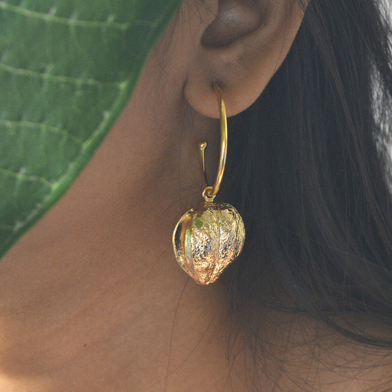 Hoop Earrings | Gold Plated