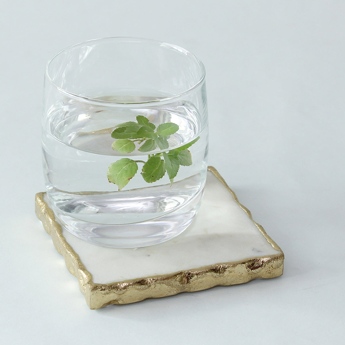 Scallops Set Of 4 Coasters (White)