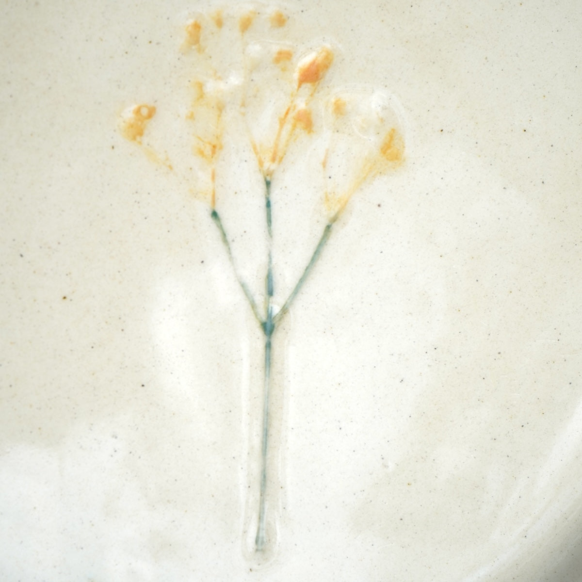 Meadow Qurter Plate - Ivory