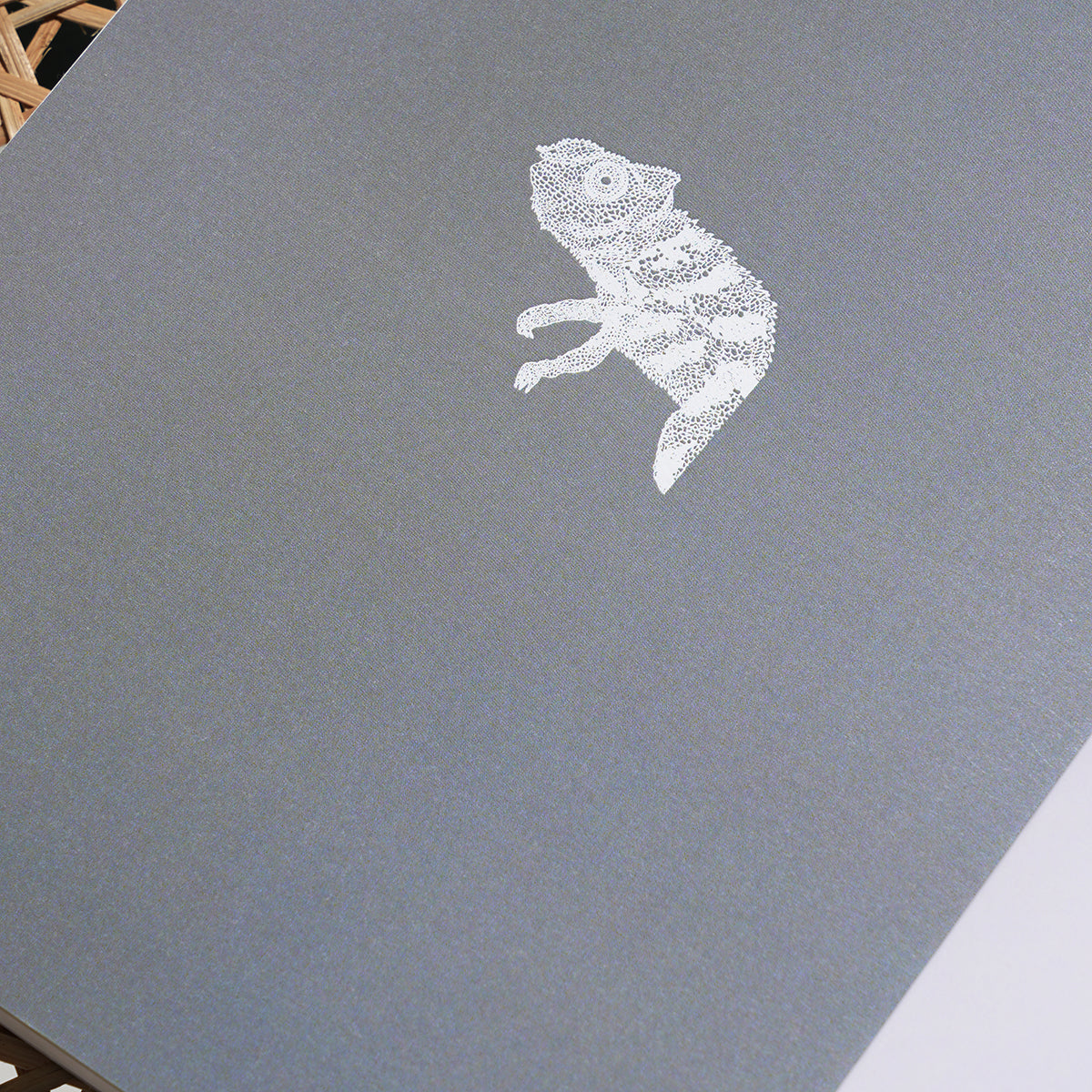 Gecko Studiobook - The Wilderness Series