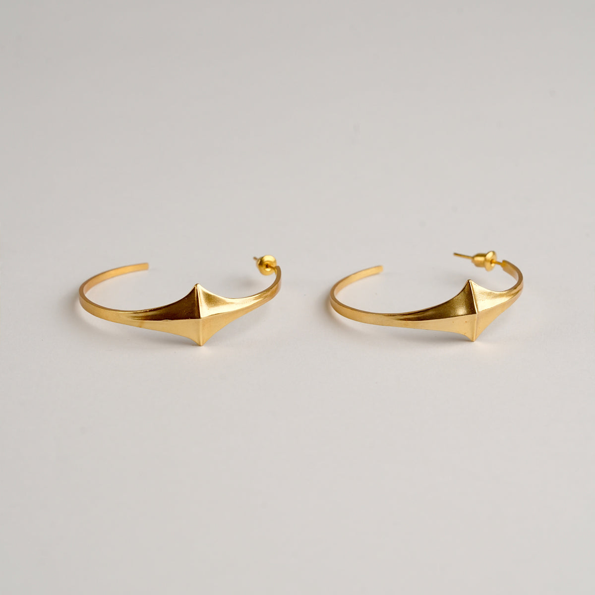 Erica Hoops