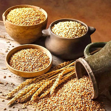 Grains, Rice and Pulses