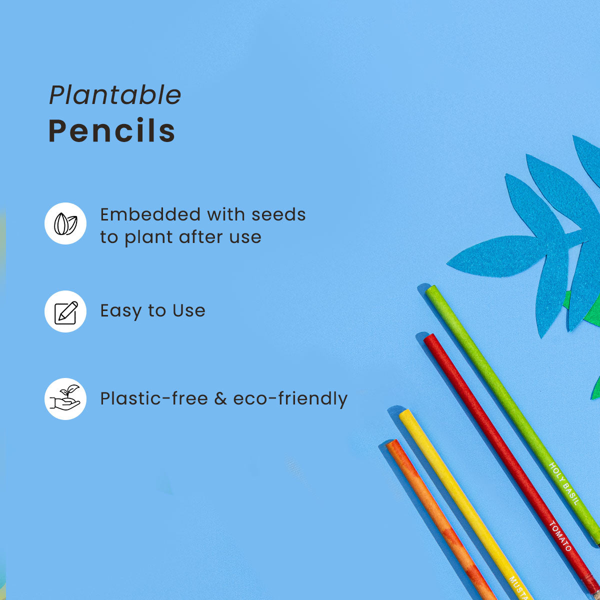 Childrens Create & Sow Kit | Plantable Stationery Set