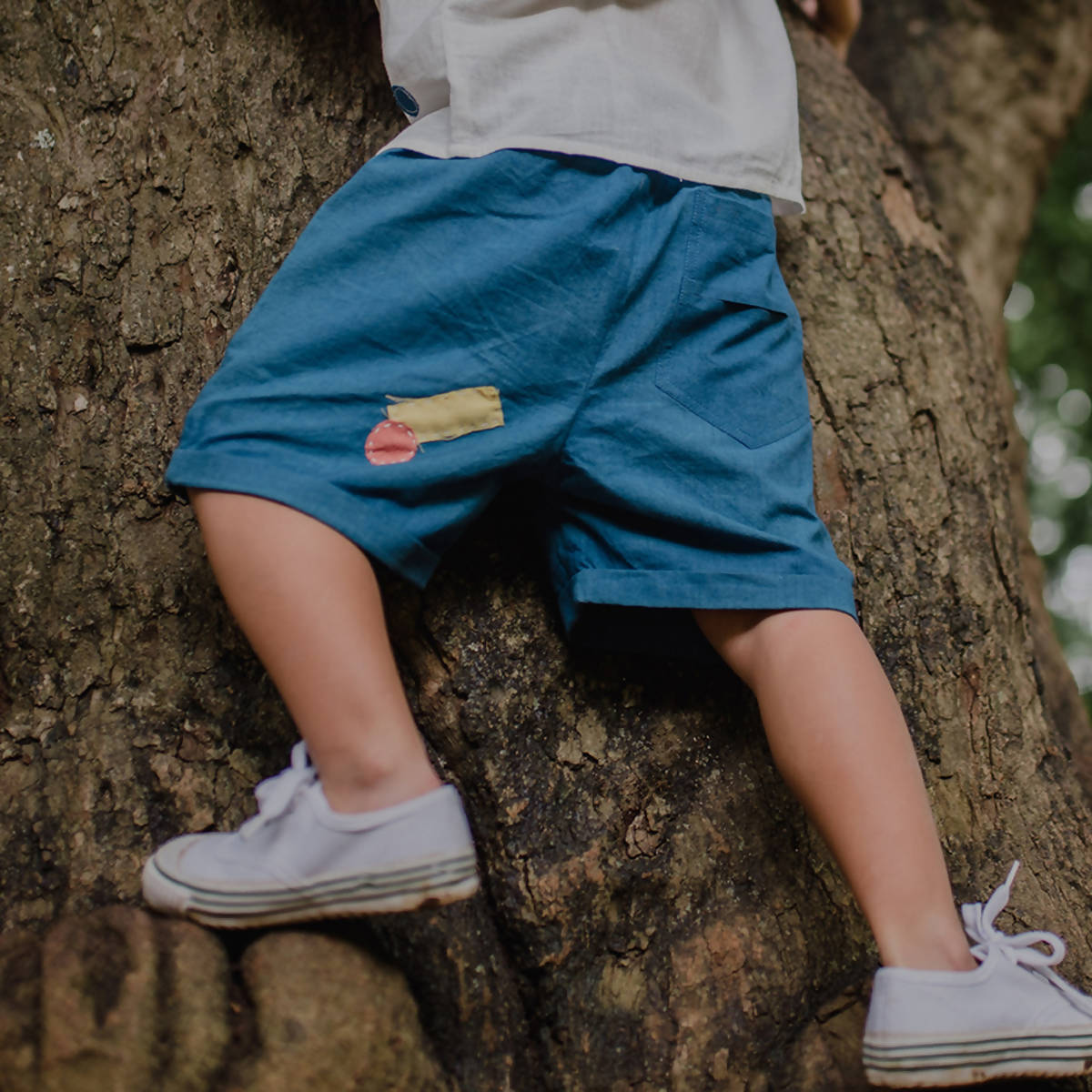 Indigo Boro Shorts