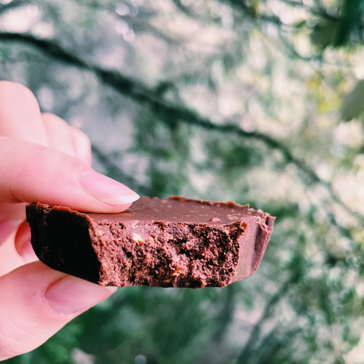 Chocolate Almond Crunch Fudge | 48 g | Pack of 2