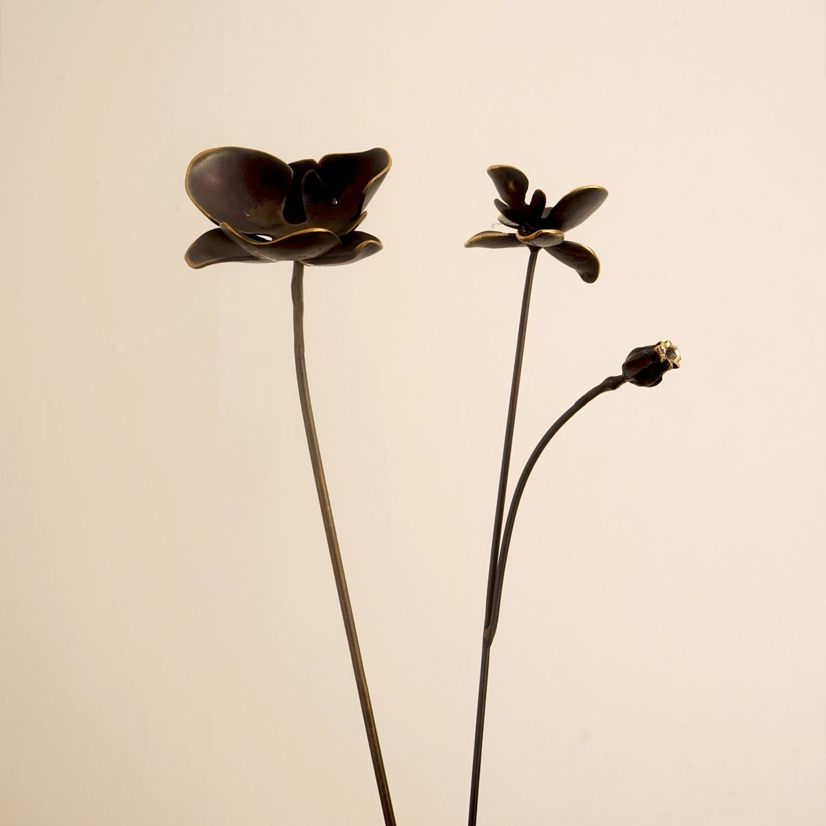 Wildflower Stem (Set of 2) - Black