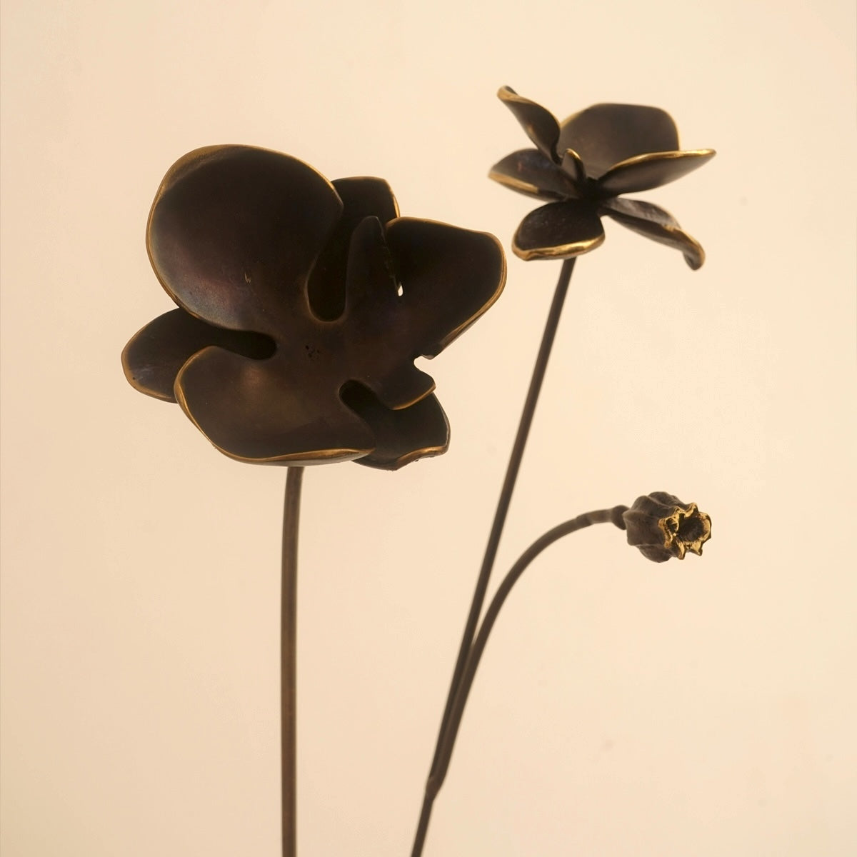 Wildflower Stem (Set of 2) - Black