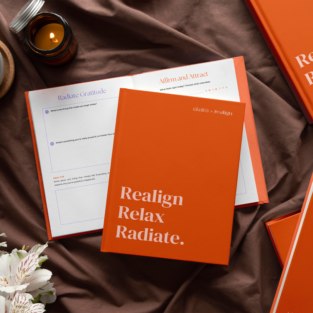 Wellness Journal - Ekatra x Realign
