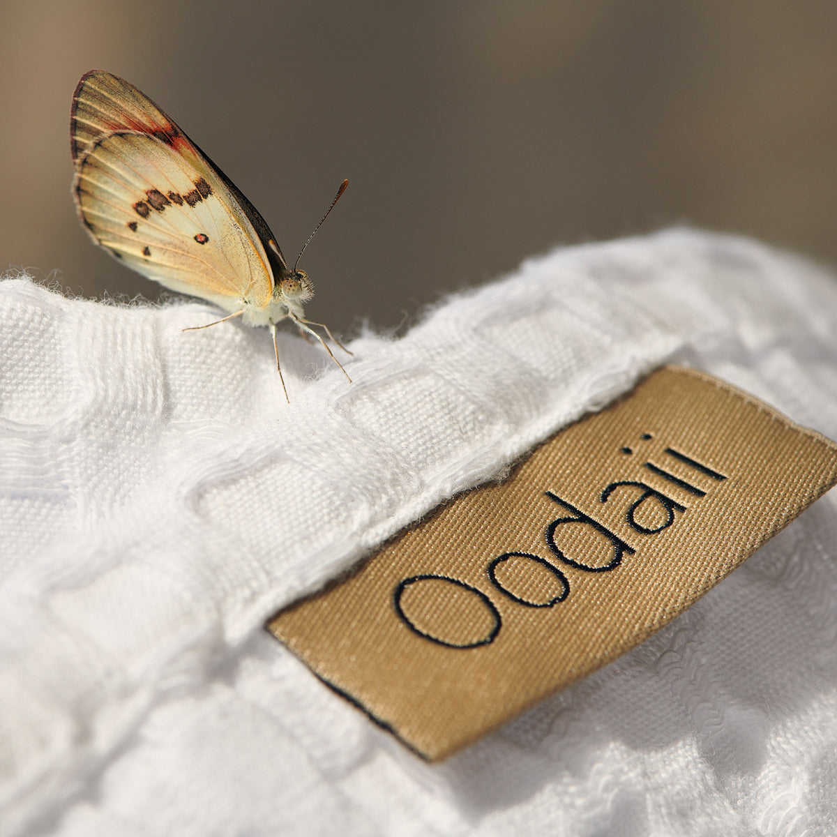 Bloom | Cotton | Waffle | Towel