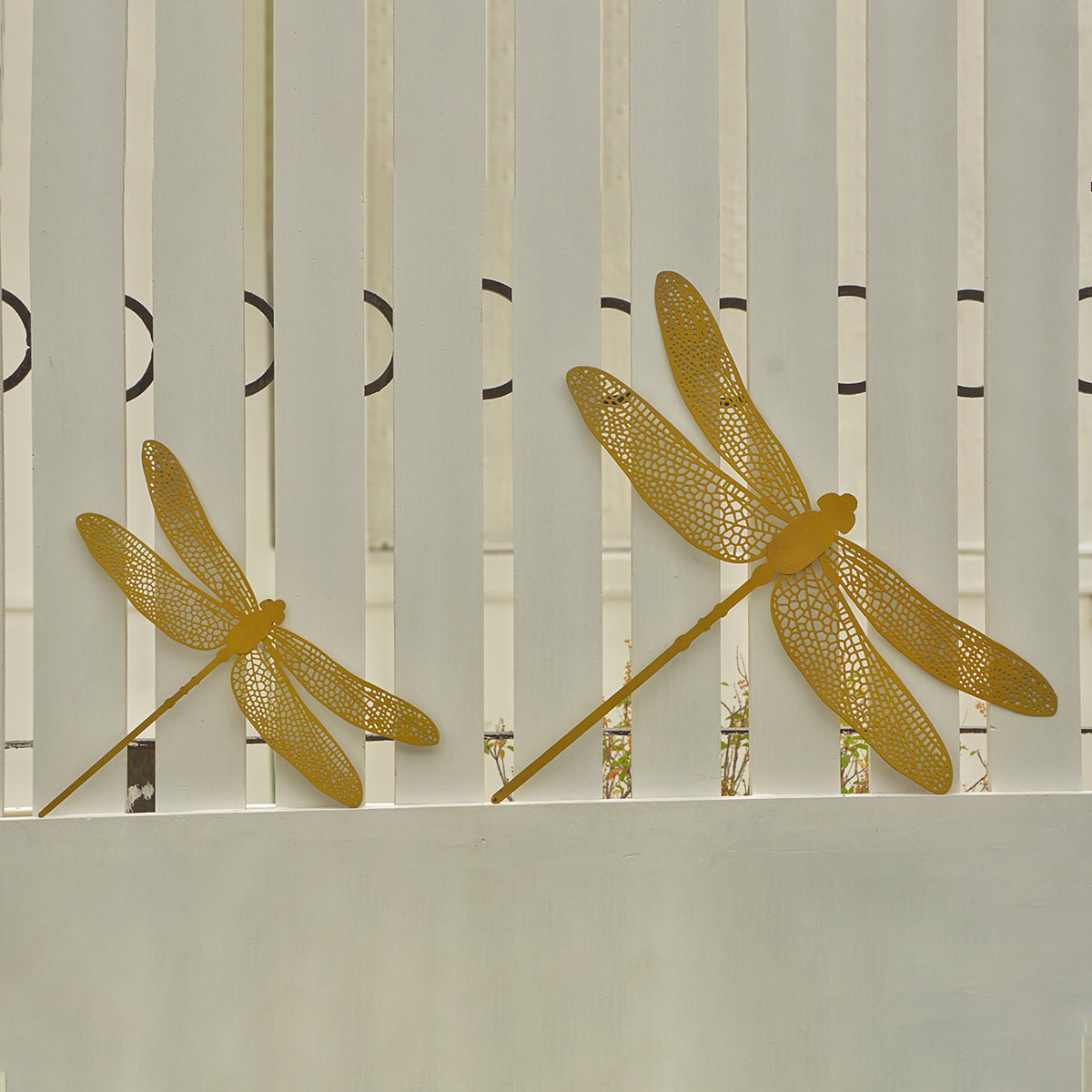 Iron Wall Accents | Dragon Fly Design | Gold