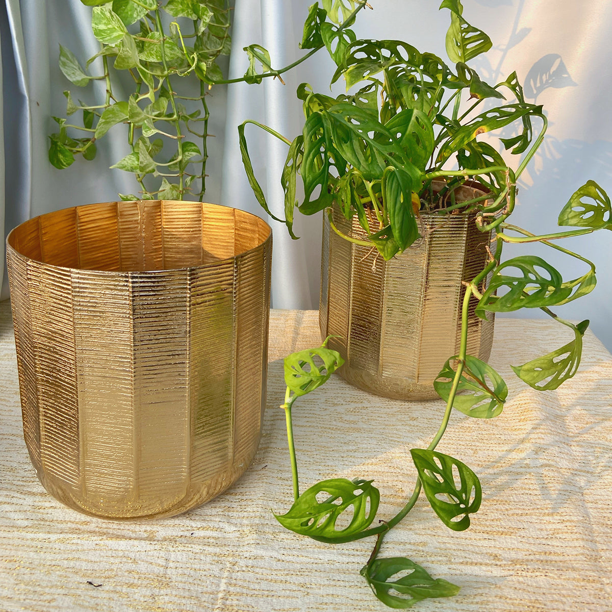 Metal Planter Pot | Textured | Gold | 8 inches