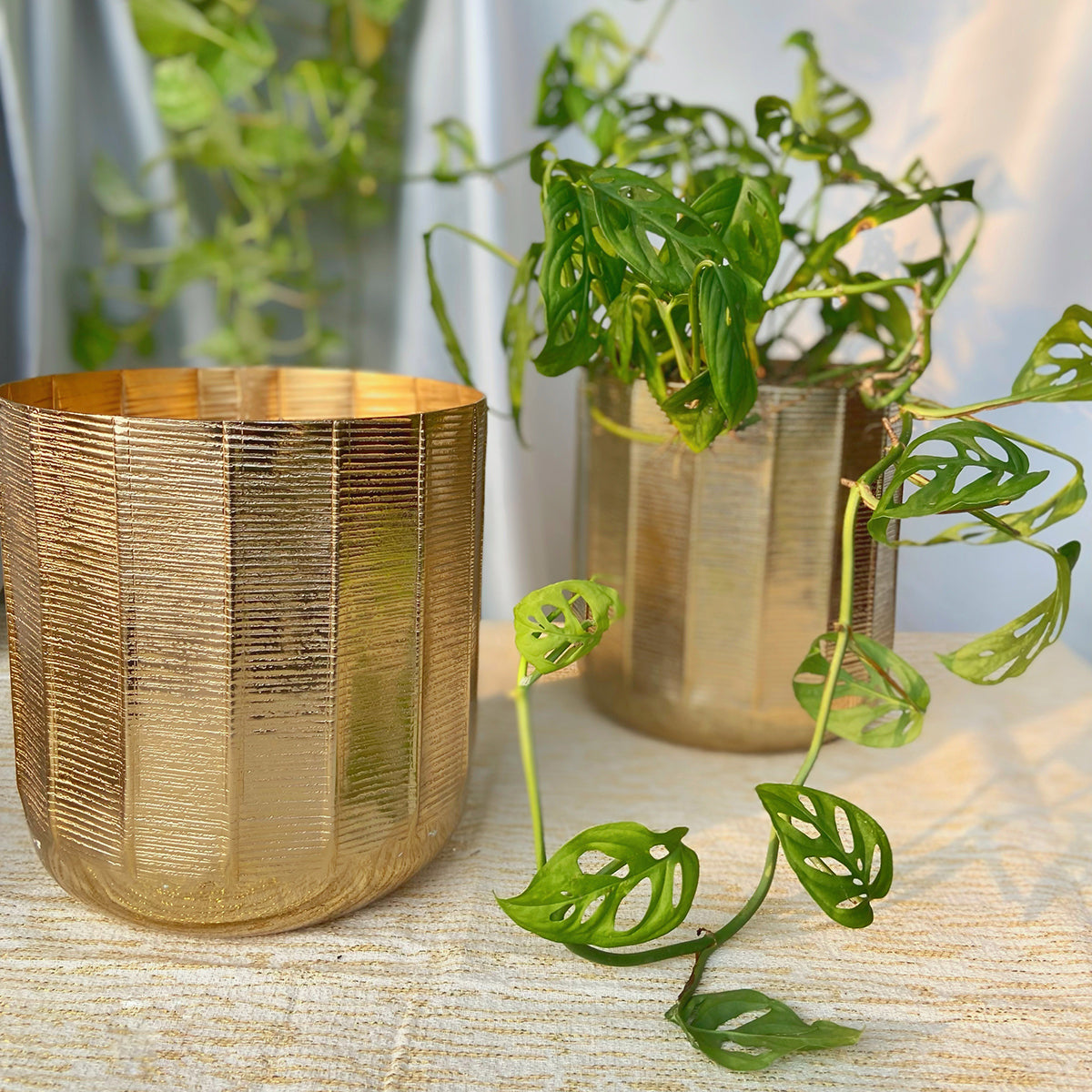 Metal Planter Pot | Textured | Gold | 8 inches