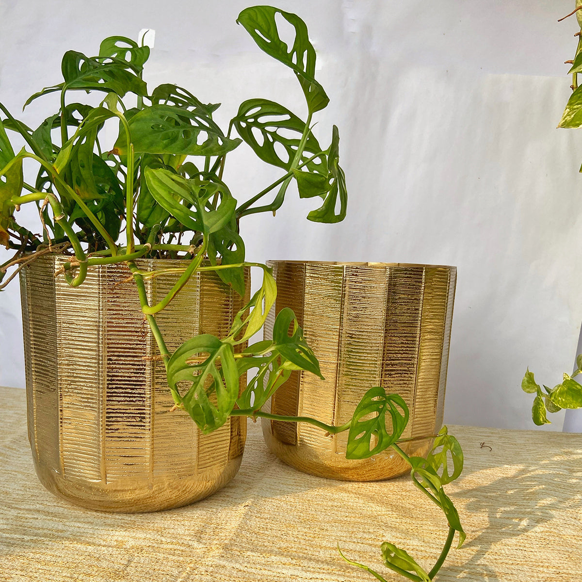 Metal Planter Pot | Textured | Gold | 8 inches