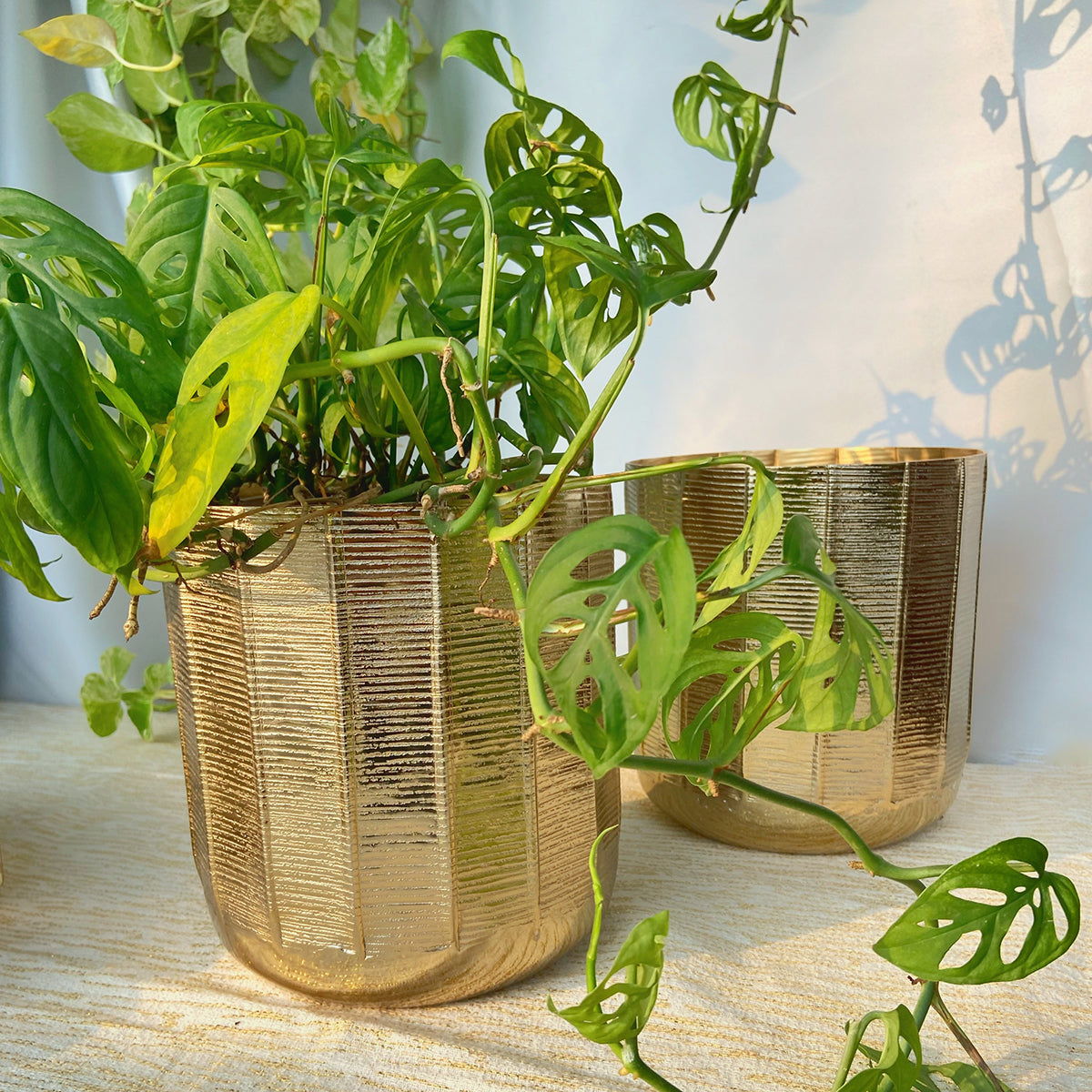 Metal Planter Pot | Textured | Gold | 8 inches