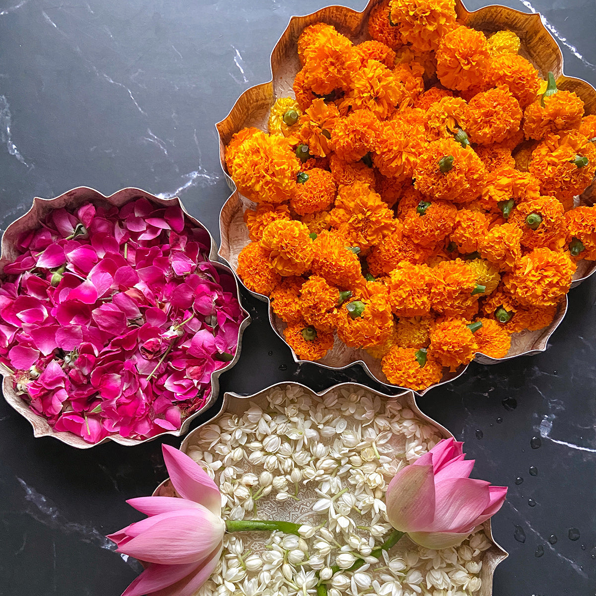 Iron Lotus Urli | Ivory & Gold | Set of 3