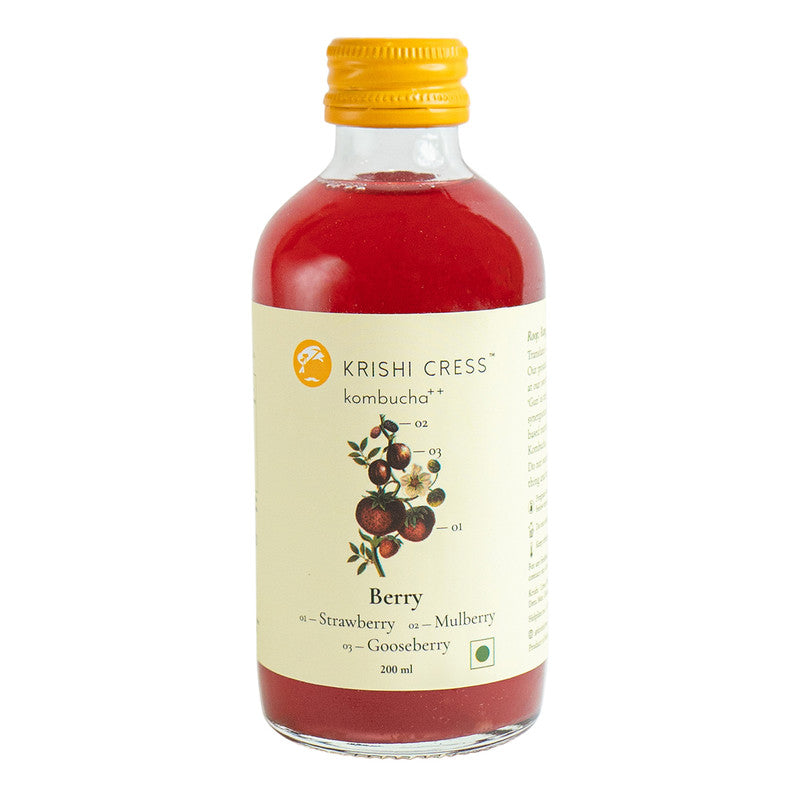 Berry Kombucha++ | 200ml | Single