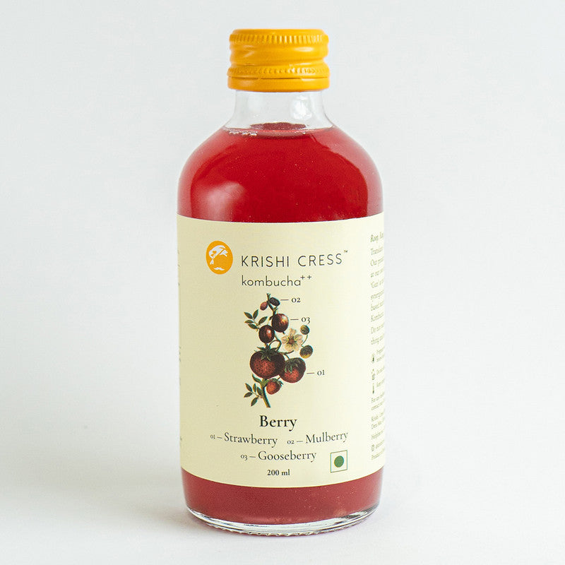 Berry Kombucha++ | 200ml | Single