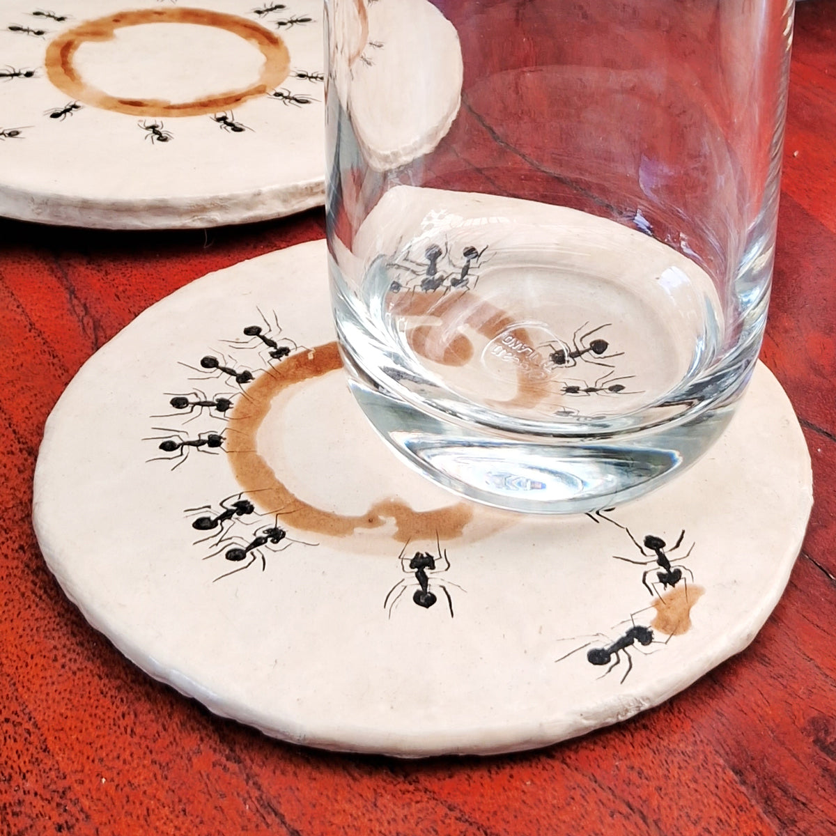 Coffee Stained Ant Coaster