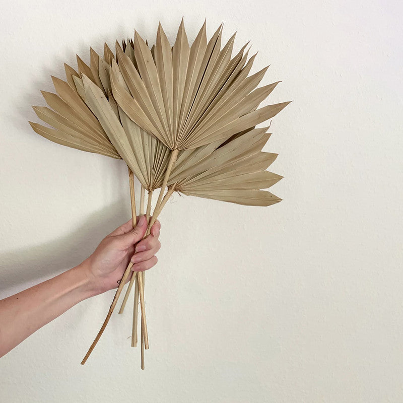 Dried Palm Leaf | 10 Stems