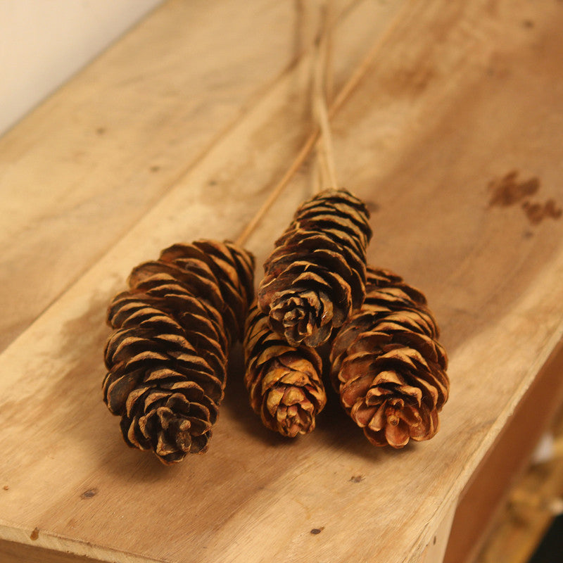 Dried Pine Cone | Set of 4