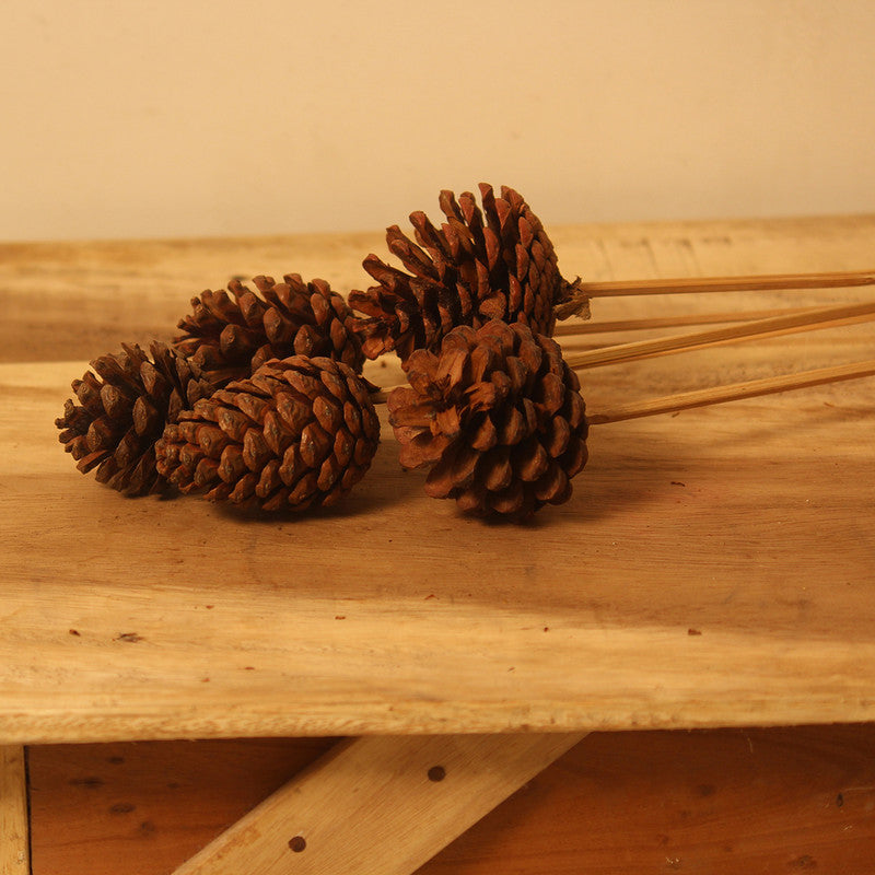 Dried Pine Cone | Set of 6