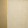 Wildflower Dupatta - Ivory