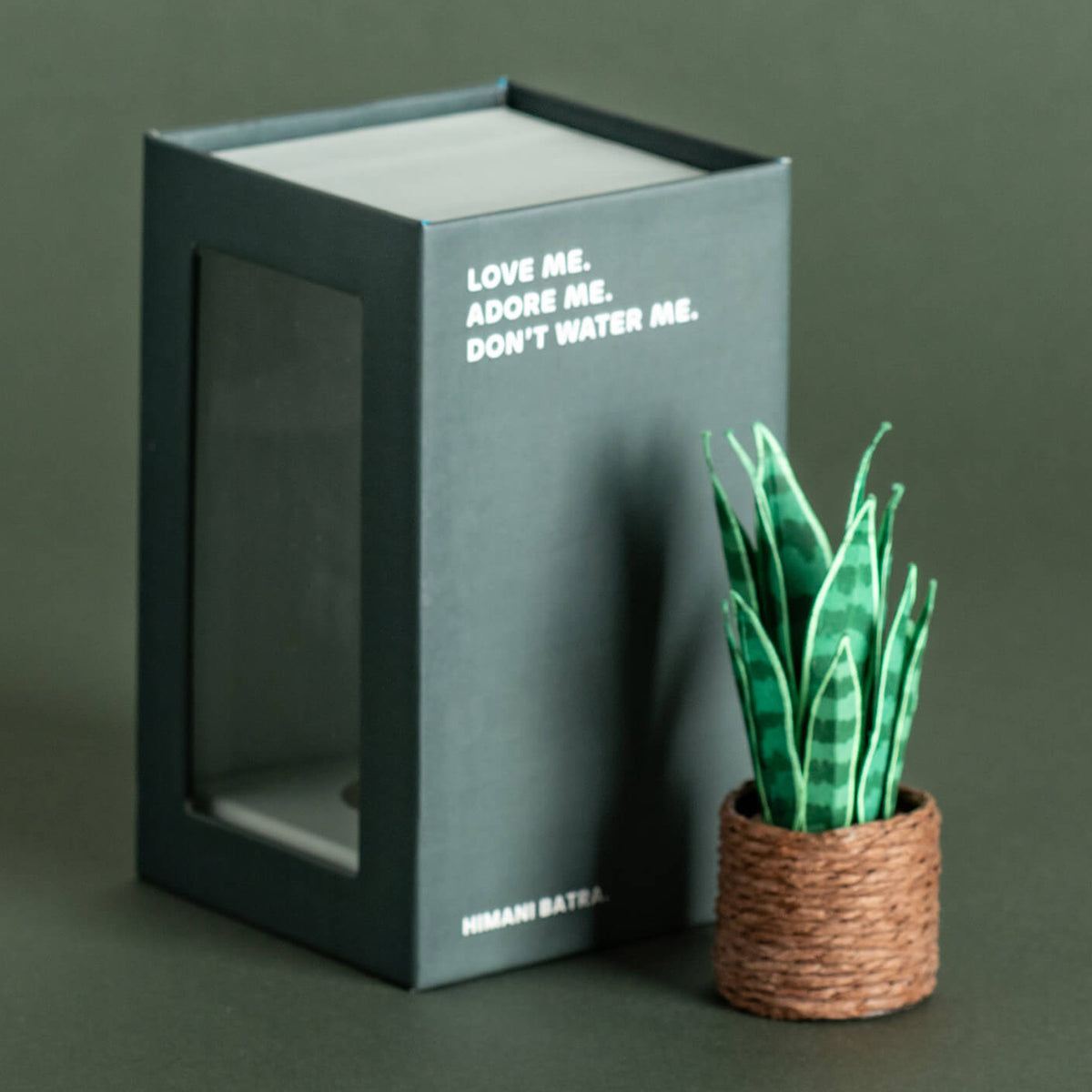 Snake Plant | Miniature Paper Plant