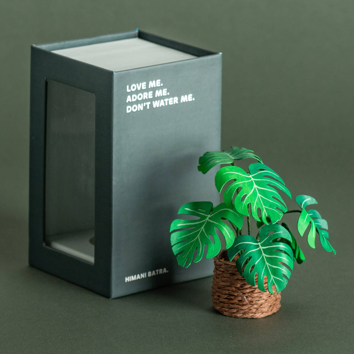 Monstera | Miniature Paper Plant