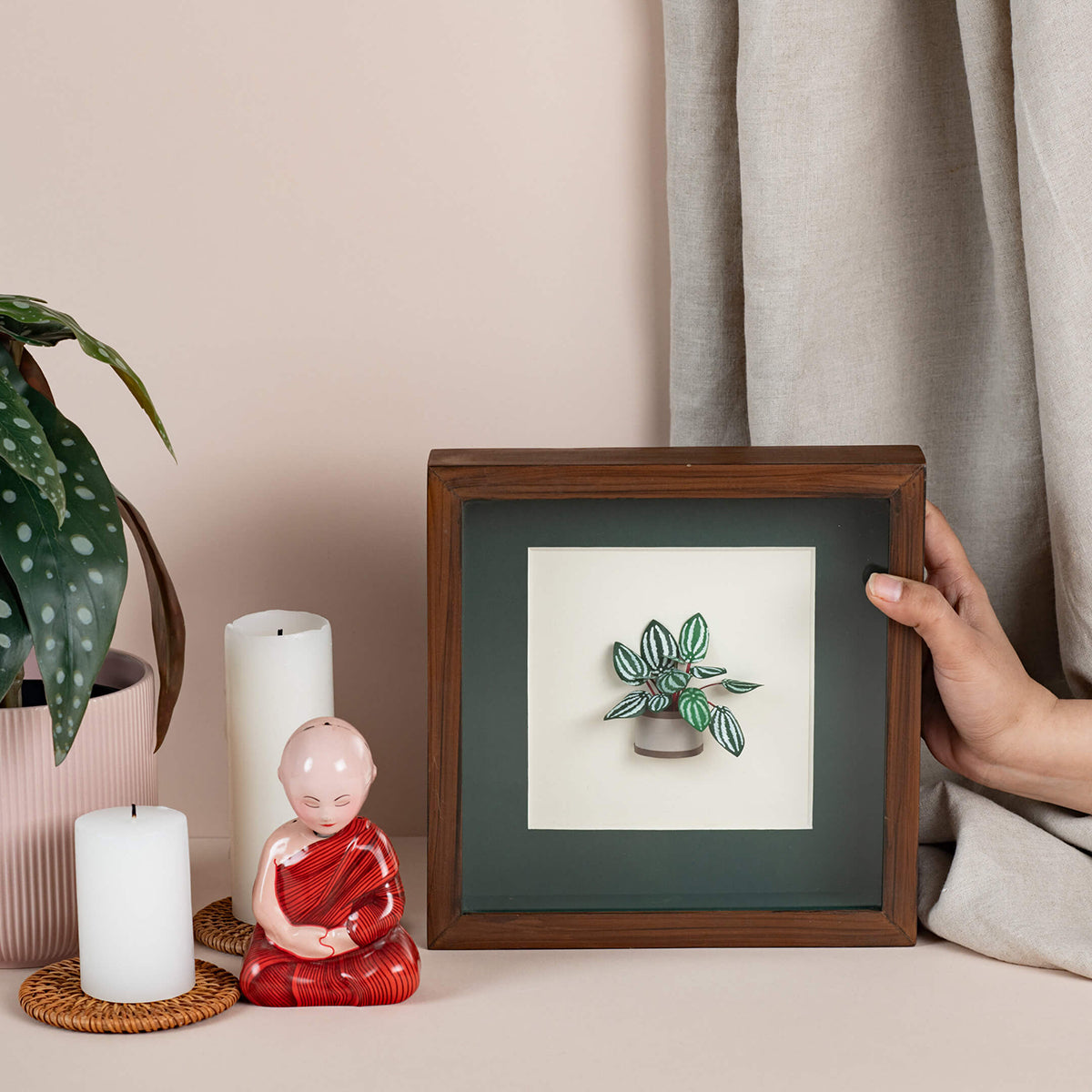 Watermelon Peperomia Paper Sculpture | Wall Art