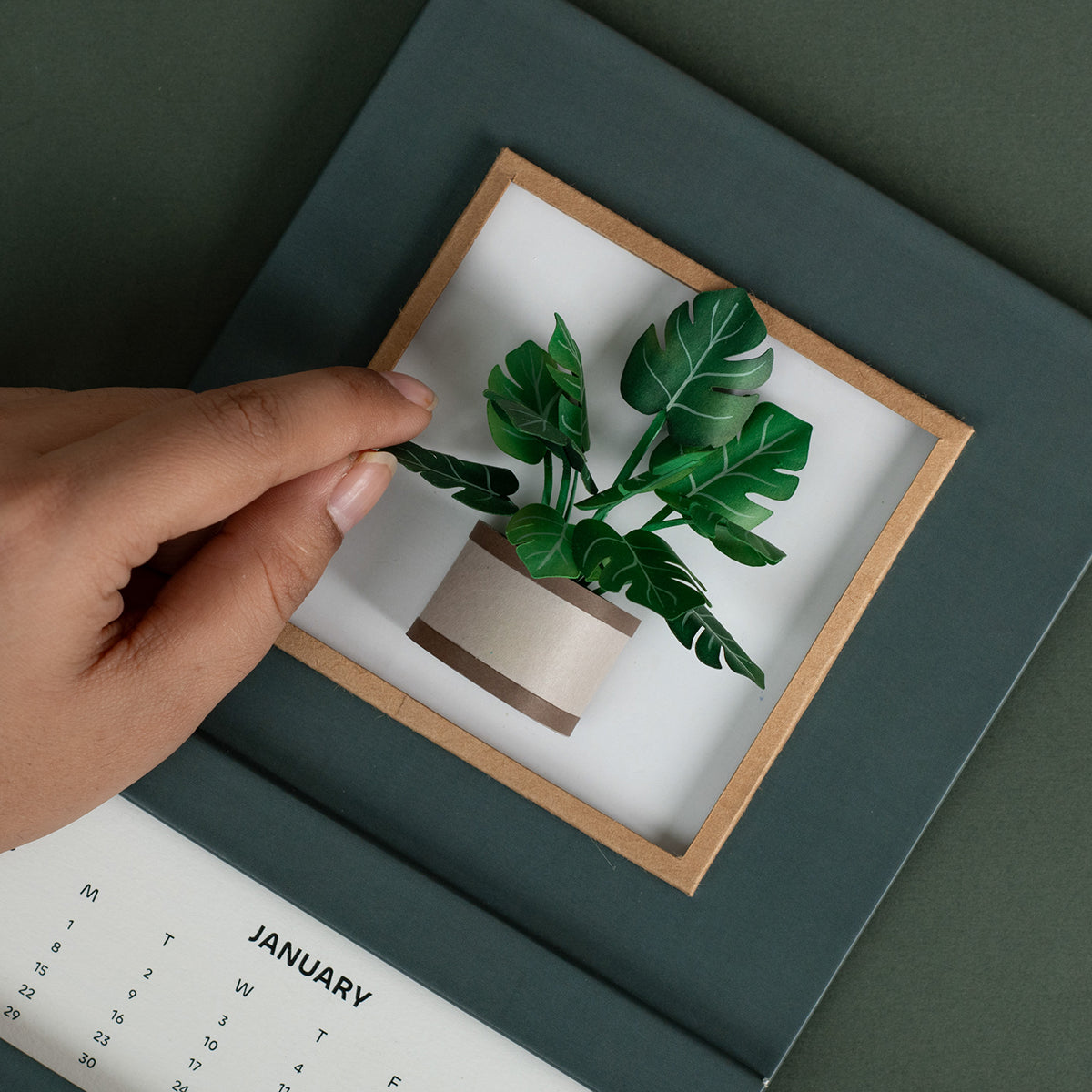 Monstera Plant Calendar 2024 | 'Wild Wonders'