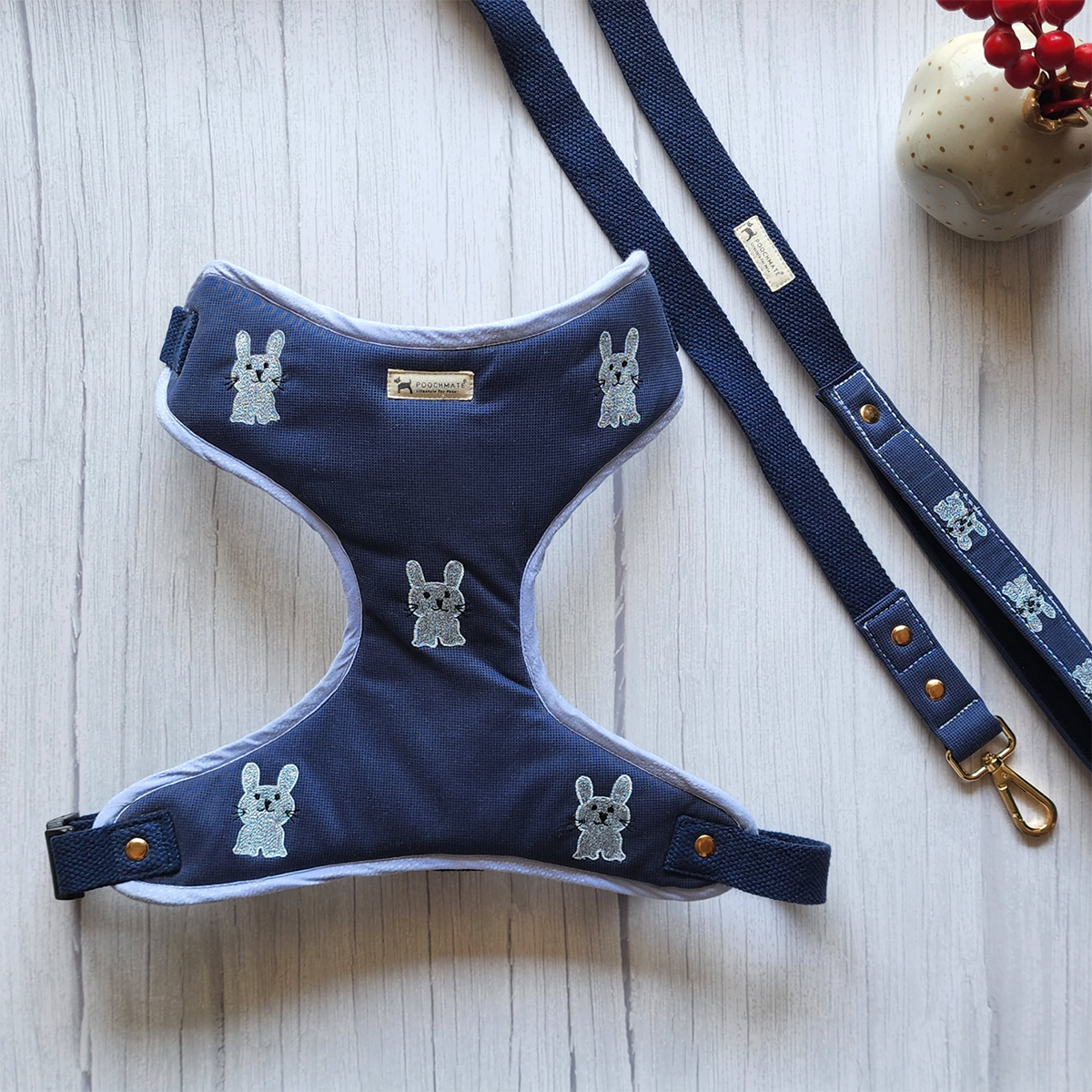 Dog Harness Set | Small