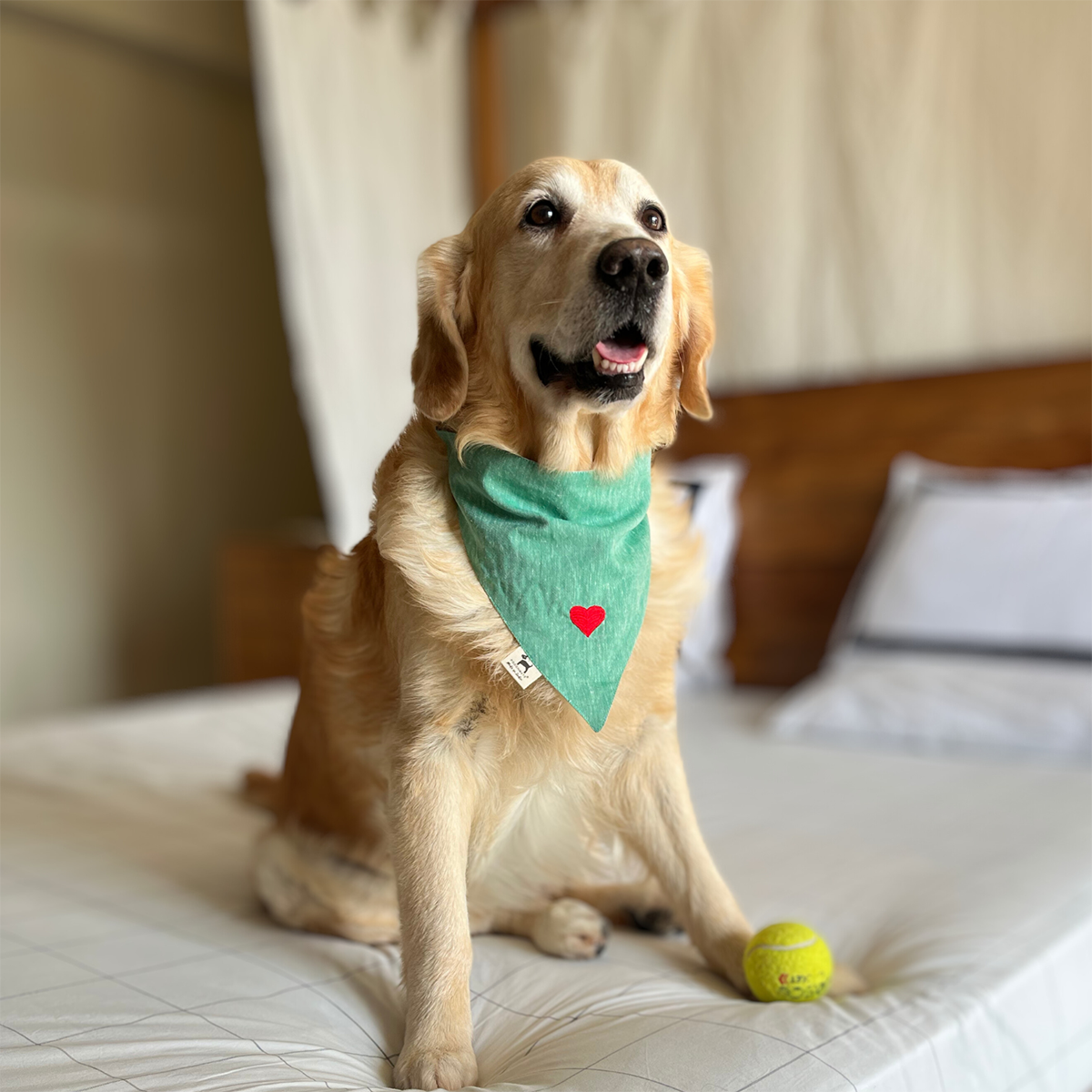 Linen Dog Bandana | Medium