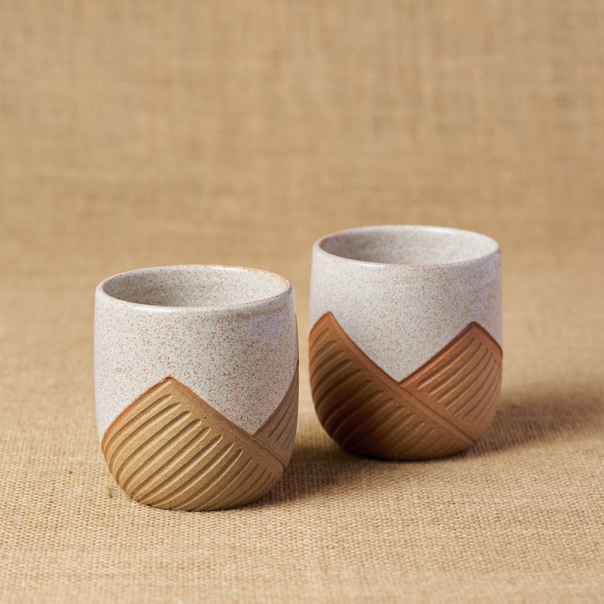 Tiger Hill Short Tumbler (Set of 2)