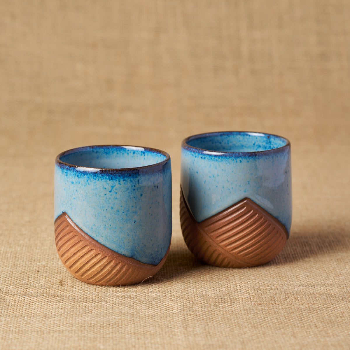Tiger Hill Short Tumbler (Set of 2)