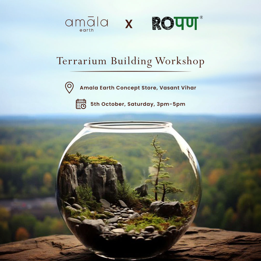 Terrarium Building Workshop