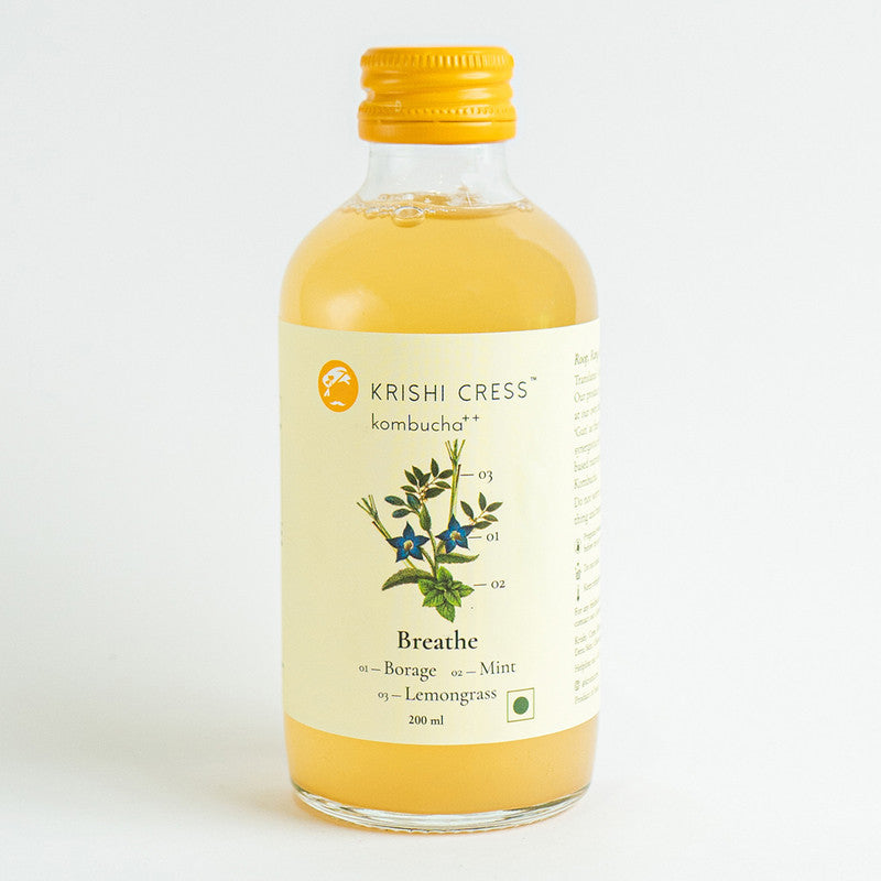 Breathe Kombucha++ | 200ml | Single