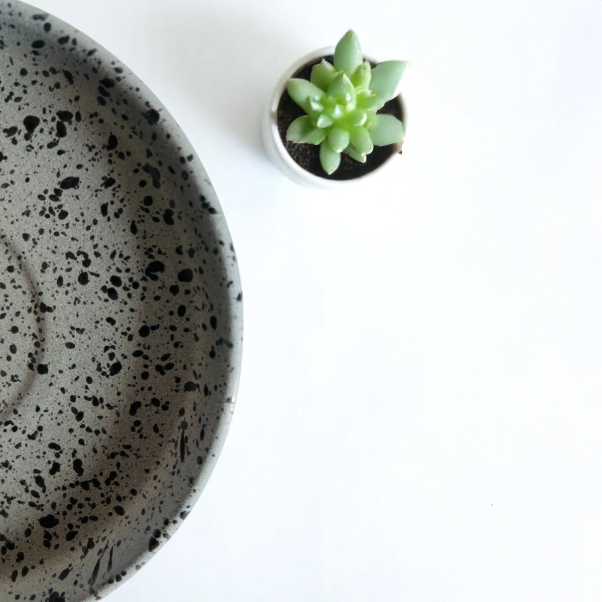 Quiet Dots Snack Plate (Set of 2)
